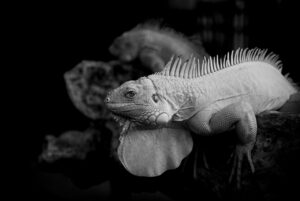 ランサーズで稼ぐための効果的なコツは？