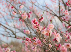 在宅勤務のQA求人を効率よく探し方は？