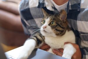 フルリモート転職成功者の共通点は何？